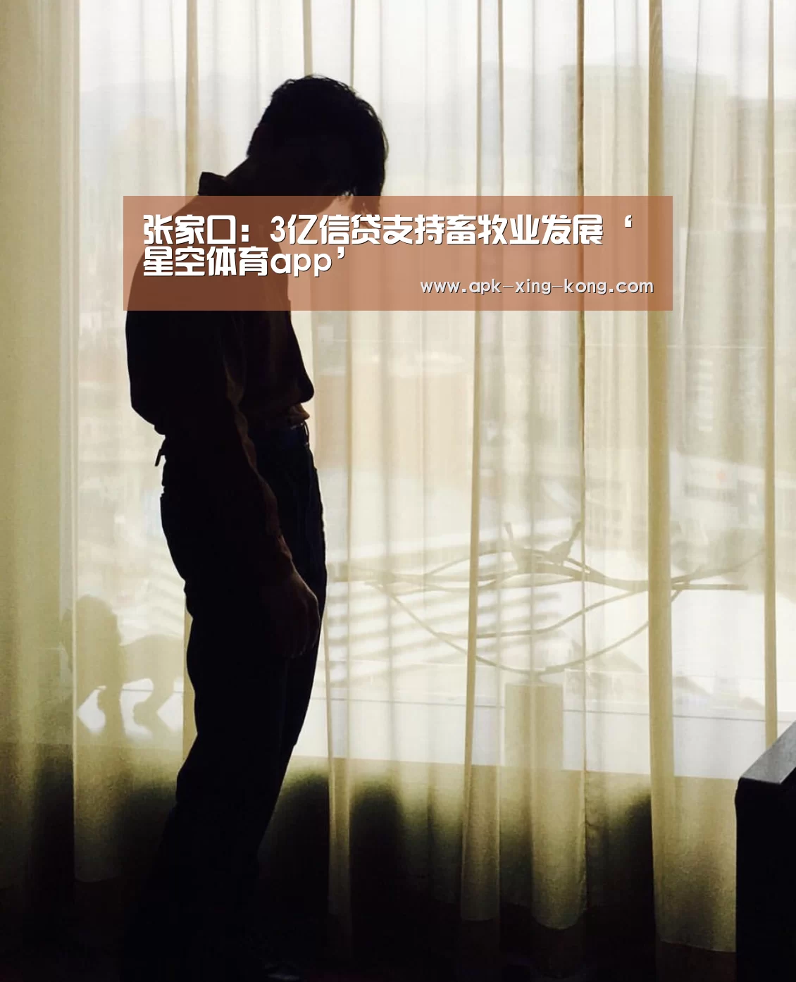 星空体育官方网站