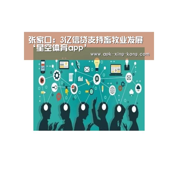 星空体育app